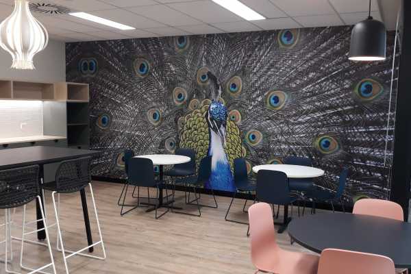 Wall Graphics for Office Fitout in Hobart